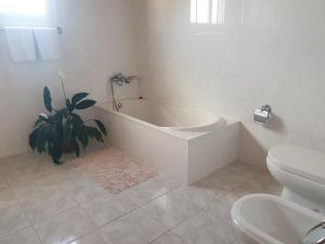 a white bathroom with a tub and a plant at Farol Golfe in Ponta do Pargo +8 photos