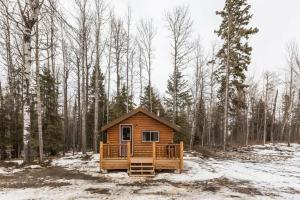 a small cabin in the woods in the snow at The Sheep Camp cabin- Bear Creek Cabins in Winfield