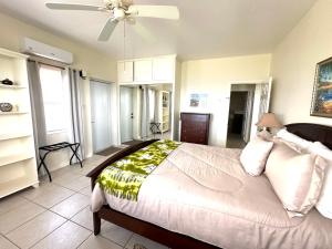 a bedroom with a bed and a ceiling fan at Krysta's Hideaway in Basseterre
