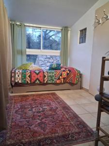 a bedroom with a bed and a window and a rug at Les volets bleus in Prémian