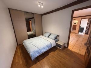 a bedroom with a bed and a large mirror at L'écrin de Cambrai - Appt 40 m² centre Cambrai in Cambrai