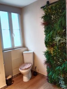 a toilet in a room with a plant wall at Chambre d'hôtes studio proche mer Mers-les-bains in Gamaches