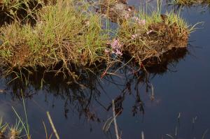 Paesaggio naturale nelle vicinanze del bed & breakfast
