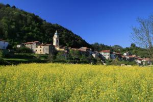 a town on a hill with a field of yellow flowers at Casetta Rosa in Pignone +2 photos