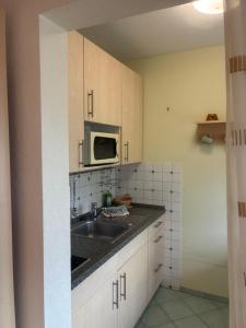 a kitchen with a sink and a microwave at Kurring 4 Apartment 105 in Bad Rodach
