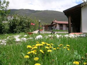 Nespecifikovaný výhled na hory nebo výhled na hory při pohledu z bed and breakfast