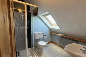 a bathroom with a toilet and a shower and a sink at Skellig Cottage - Portmagee in Lateeve +11 photos
