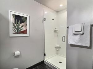 a white bathroom with a shower and a toilet at Modern Studio, Gym, Near UAB in Birmingham