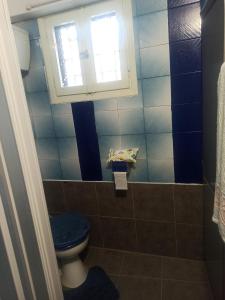 a bathroom with a toilet and a window at FAVIEROS-The secret Garden in Mesochórion +16 photos