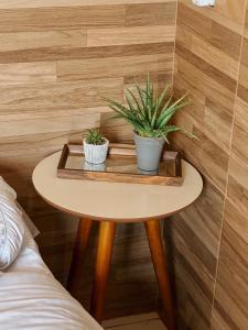 a table with two potted plants on it in a room at Espaços Cardoso, AURORA - luz e leveza in Igrejinha