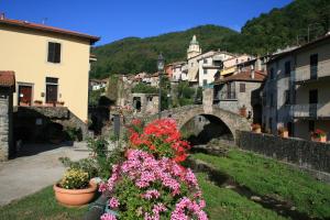 a small town with a bridge and flowers at Casetta Rosa in Pignone