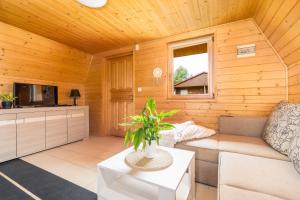 a living room with a couch and a tv at DAGLEZJA-domy dobrego wypoczynku in Kołczewo