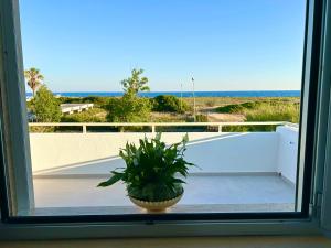 a plant sitting on a window sill looking out at the ocean at Sea Apartment - Torre Pali in Torre Pali