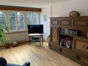 a living room with a television and a book shelf at Appenzellerland Schöne Wohnung in einem Wandergebiet in Teufen +4 photos