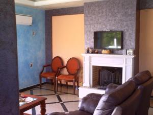 ラフィーナにあるRafina Sea View Luxuryのリビングルーム(ソファ、暖炉、テレビ付)