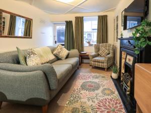a living room with a couch and a fireplace at 21 Entry Lane in Kendal