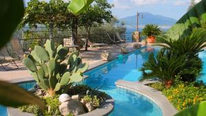 a swimming pool with cacti and plants in a resort at Villa Ketty Resort in Vico Equense