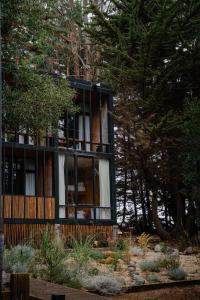 a building with windows in the middle of trees at Surf Lodge Punta de Lobos in Pichilemu