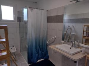 a bathroom with a shower curtain and a sink at Gite des Noës in Lamballe Armor +15 photos