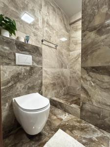 a bathroom with a white toilet and a shower at Gold in Chişinău +14 photos