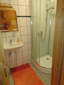 a bathroom with a shower and a sink at Kätkävaara Wilderness Lodge in Muurola +26 photos
