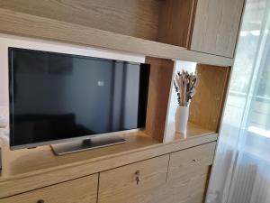 a flat screen tv sitting on top of a wooden cabinet at Bergblick 33 in Plaus