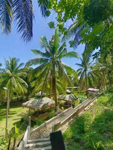 a view of a resort with palm trees at Campo De Laiya in San Juan