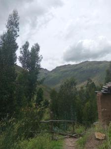 a view of a valley with hills and trees at Small House Pisac in Pisac +26 photos