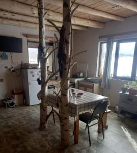 a kitchen with a table and a tree in a room at Tusheti Winter Home in Omalo
