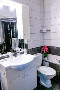 a bathroom with a white sink and a toilet at New Airport Apartment in Sibiu +14 photos