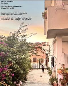 a black cat walking down a sidewalk next to a building at Shaka guest house in Giba