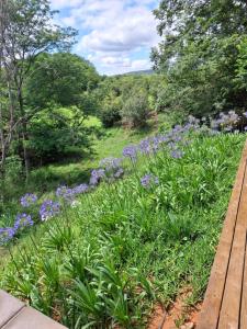 a garden with purple flowers and a wooden bench at Modern Apartment on Letaba River in Tzaneen