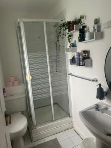 a bathroom with a shower and a toilet and a sink at Kildare cozy home in Kildare +5 photos