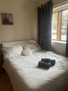 a bed with two pillows on it with a window at Kildare cozy home in Kildare