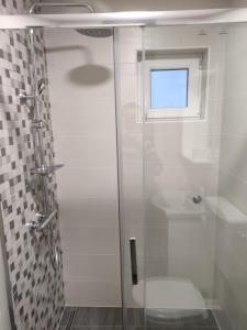 a bathroom with a shower with a toilet and a window at Dragiv 2 Brdo48 selce in Selce
