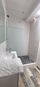 a bathroom with a sink and a shower at La Perle du Port in Vannes +25 photos