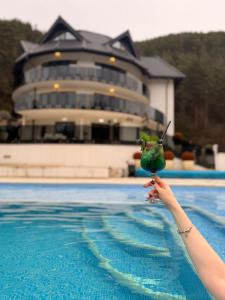 Kolam renang di atau dekat dengan Carpentiere Arena Hotel & SPA