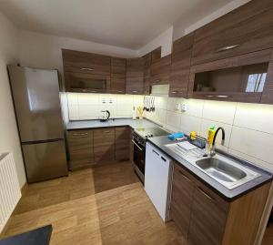 a kitchen with wooden cabinets and a stainless steel refrigerator at Aldrovské Trio in Vítkovice