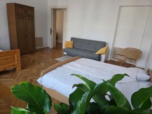 a living room with a bed and a couch at Rooms in Maribor Centre in Maribor