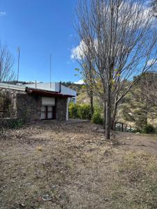 a house with a tree in front of it at Villa Pellegrini in Trapiche