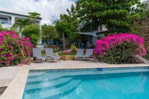 a swimming pool with chairs and pink flowers at Blue Sail Rooms in Koolbaai