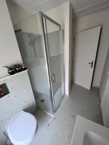 a white bathroom with a shower and a toilet at Appartement 2 chambres in Messancy