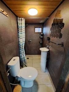 a bathroom with a toilet and a sink at Бунгало Борче in Burgas +19 photos