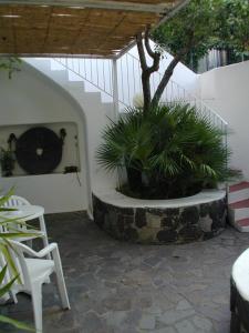 Zahrada ubytování Hotel Villa Augustus