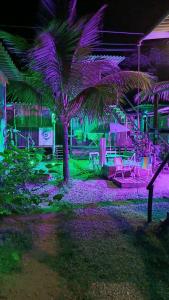 a palm tree in a yard with purple lights at Chales sprinfeld in Paraty +14 photos
