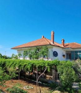a house with a hedge in front of it at Apartment Ivana in Murter