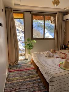 a bedroom with a bed and two windows at Dar Tamatert in Tamatert