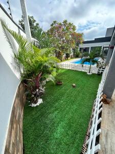 a yard with grass and palm trees next to a house at refúgio urbano in Nova Odessa