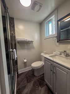 a bathroom with a toilet and a sink and a shower at Sunrise Motel in Owen Sound