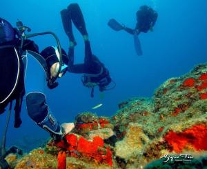 two people in the ocean looking at a coral reef at Melina's sunset-Cozy studio with amazing sea view and sunset in Myrties